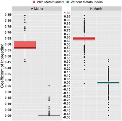 Applying the Metafounders Approach for Genomic Evaluation in a Multibreed Beef Cattle Population